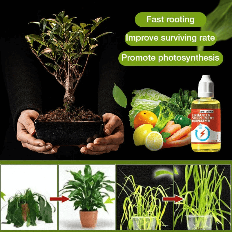 💥Last Day Promotion 49% OFF💥 Plant Growth Enhancer Supplement(BUY 1 GET 1 FREE)