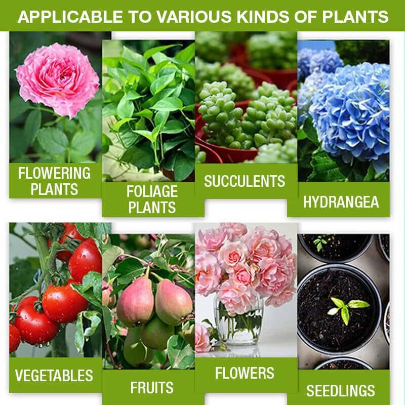 💥Last Day Promotion 49% OFF💥 Plant Growth Enhancer Supplement(BUY 1 GET 1 FREE)