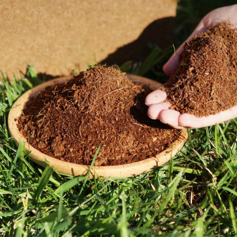 🔥Best Selling Gardening Soil🔥Organic Coconut Coir for Plants