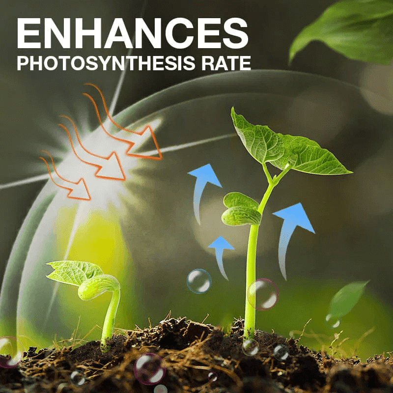 💥Last Day Promotion 49% OFF💥 Plant Growth Enhancer Supplement(BUY 1 GET 1 FREE)