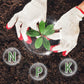 Organics Granular All Purpose Fertilizer