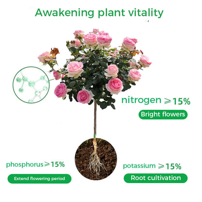 🔥Rapid Rooting And Flowering Powder（50% OFF）
