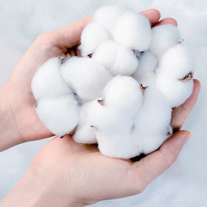 👶Baby's Comfortable Cotton Breathable Training Pants