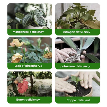 🔥Rapid Rooting And Flowering Powder（50% OFF）