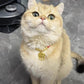 🥰Pet New Year Gold Lock Collar