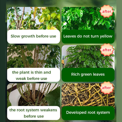 🔥Rapid Rooting And Flowering Powder（50% OFF）