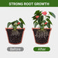 Detroit® Special Bone Meal Organic Fertilizer - Promote The Growth of Flowers and Fruits