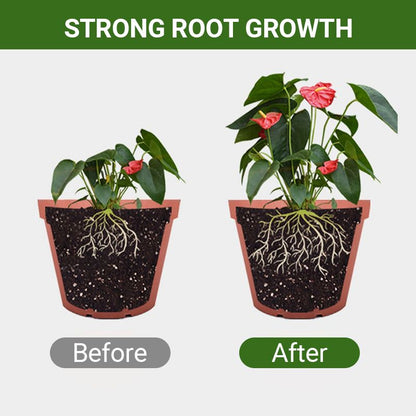 Detroit® Special Bone Meal Organic Fertilizer - Promote The Growth of Flowers and Fruits