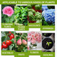 💥Last Day Promotion 49% OFF💥 Plant Growth Enhancer Supplement（BUY 1 GET 1 FREE）
