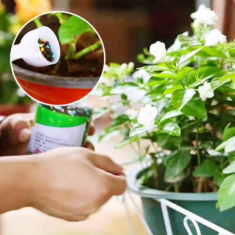 Organics Granular All Purpose Fertilizer
