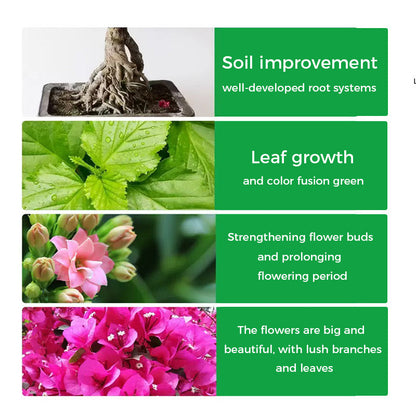 🔥Rapid Rooting And Flowering Powder（50% OFF）