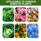 Detroit® Special Bone Meal Organic Fertilizer - Promote The Growth of Flowers and Fruits