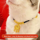 🥰Pet New Year Gold Lock Collar