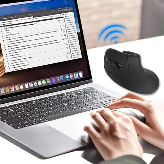 Ergonomic Low Noise Mouse