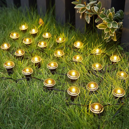 💡☀️ Solar Powered Garden Pathway Lights – Auto On/Off, Weatherproof & Perfect for Walkways & Yard Decoration 🏡