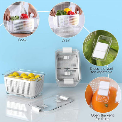 🔥Fresh Produce Vegetable Fruit Storage Container