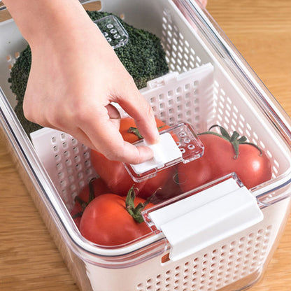 🔥Fresh Produce Vegetable Fruit Storage Container